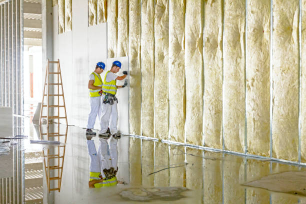Types of Insulation We Offer in Dennis Port, MA